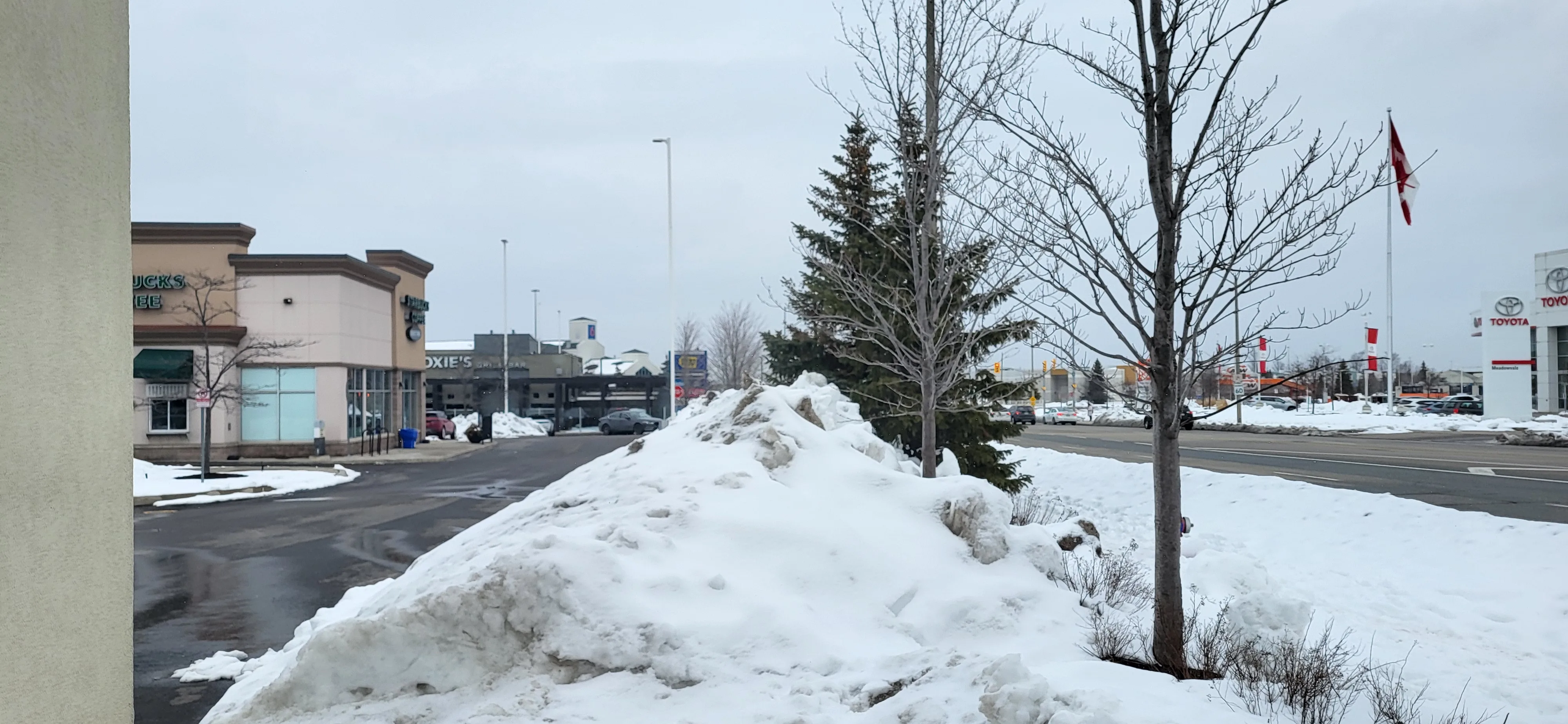 Is Your Commercial Property’s Landscape Getting Destroyed in Winter??