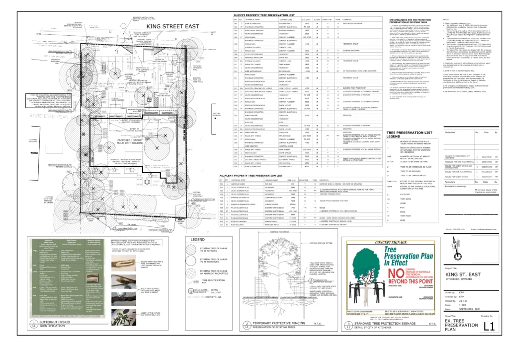 Existing Tree Preservation Plan for the King Street project